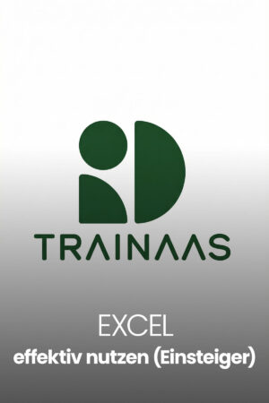 Excel effektiv nutzen (für Einsteiger)